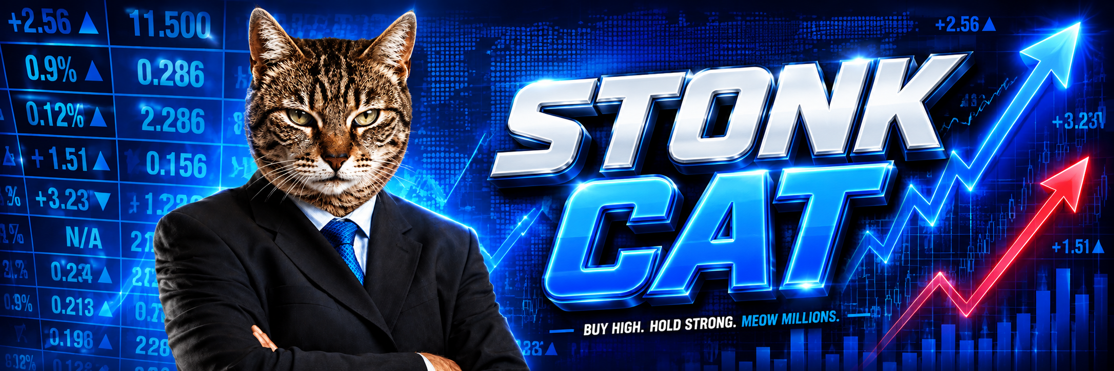 Stonk Cat banner